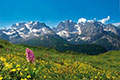 Montagne in Trentino