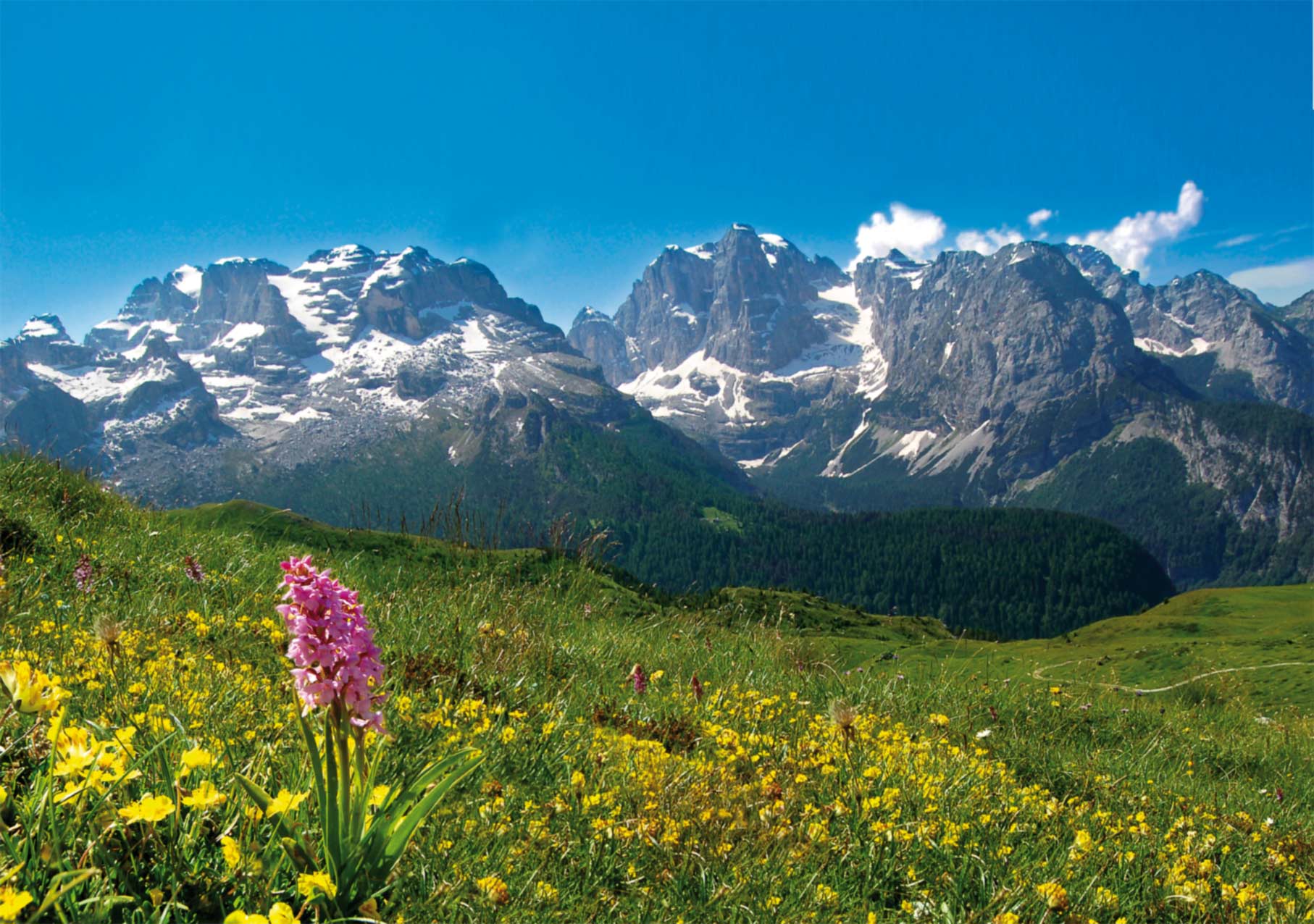 Montagne in Trentino